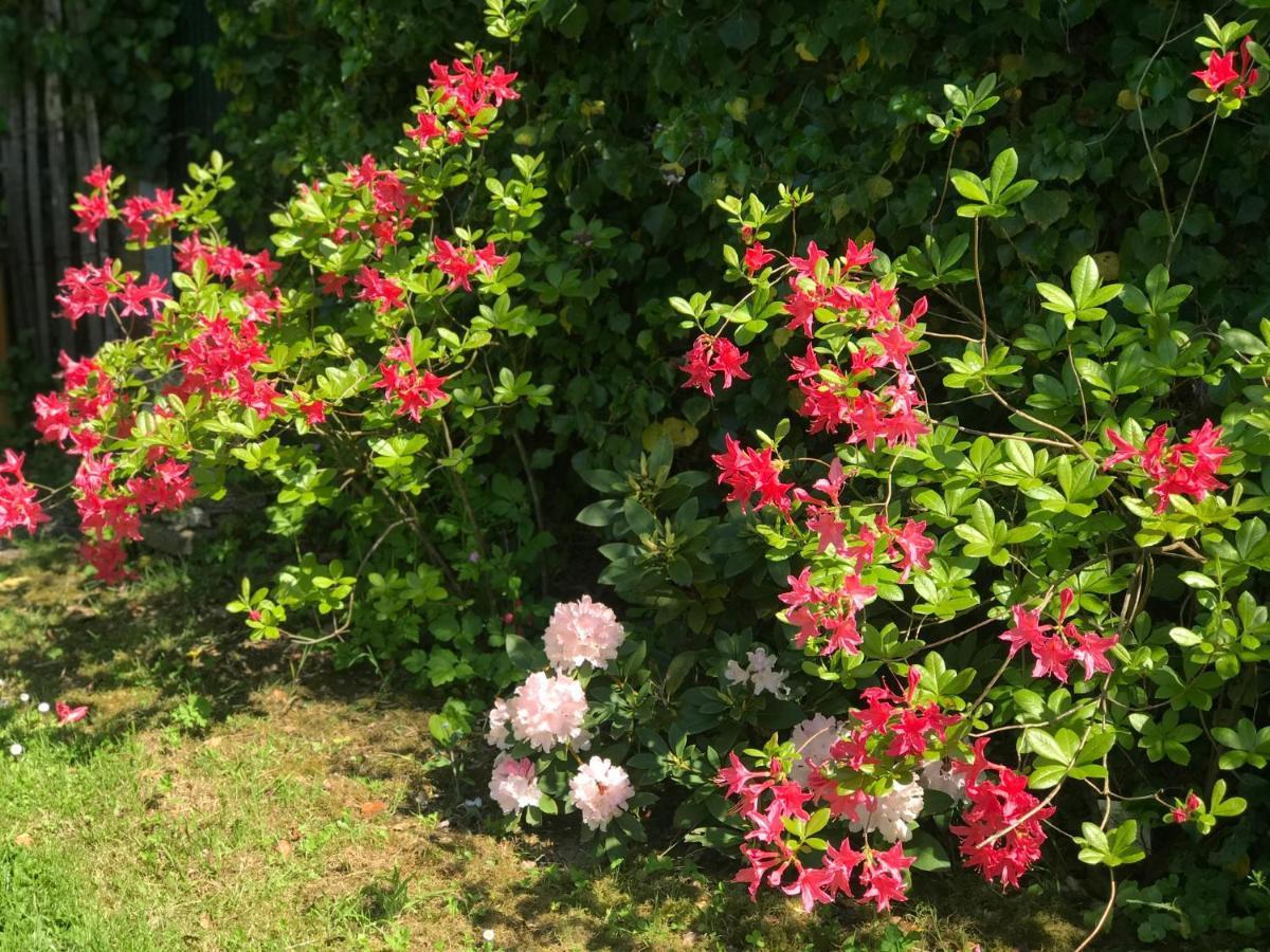 Chambre D'Hotes "Coquelicot" Nurlu Εξωτερικό φωτογραφία