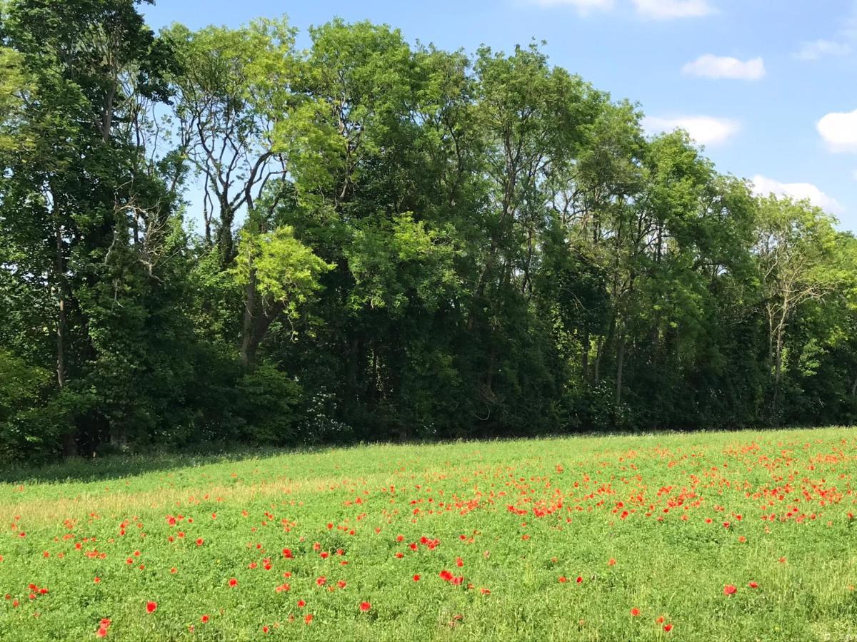 Chambre D'Hotes "Coquelicot" Nurlu Εξωτερικό φωτογραφία
